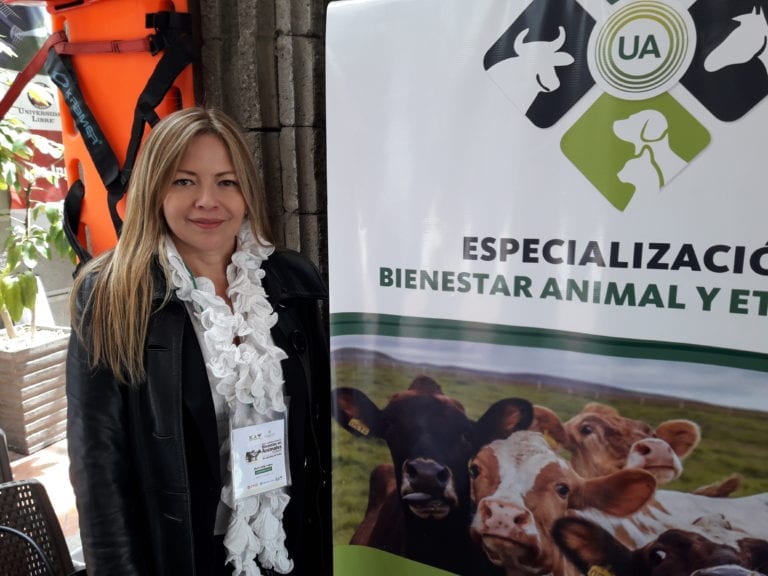 Bienestar animal en la formación de veterinarios latinoamericanos