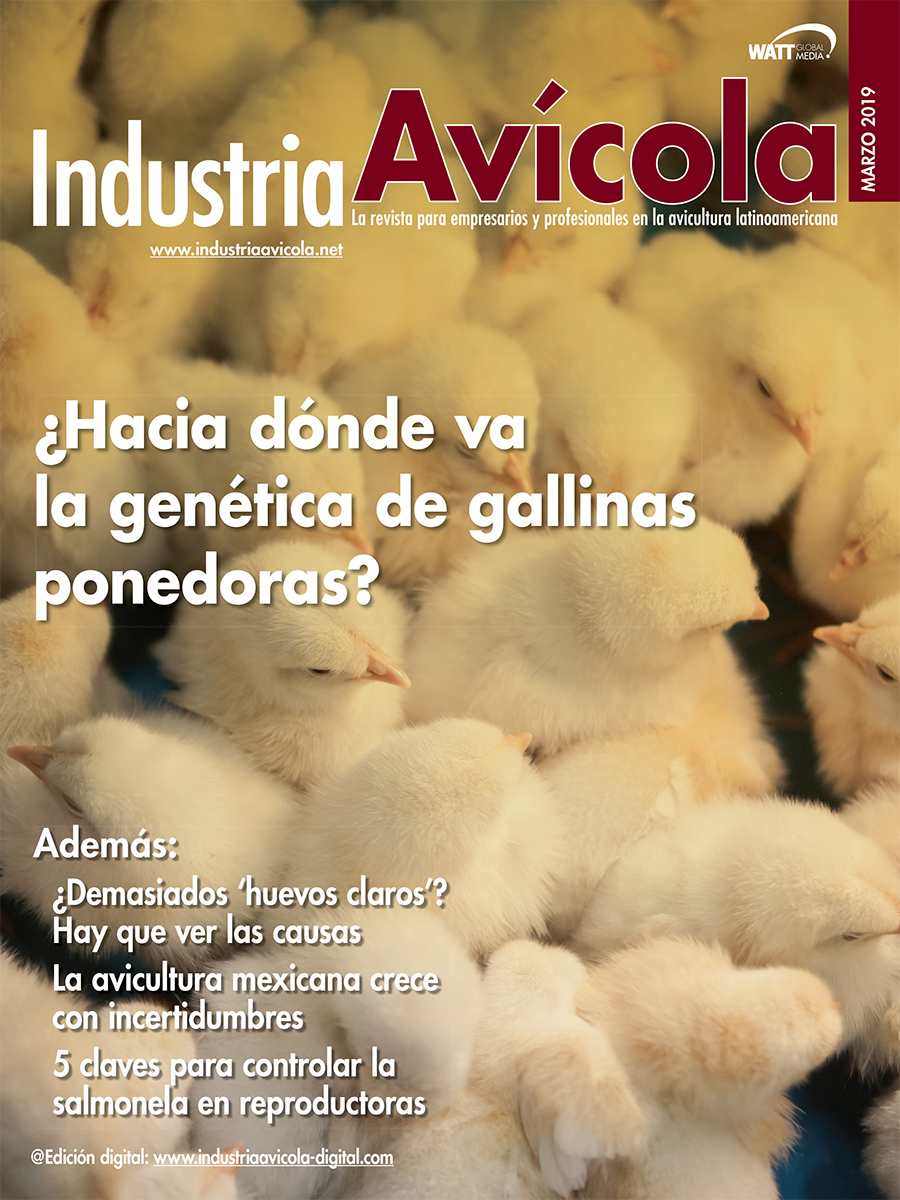 Magazine