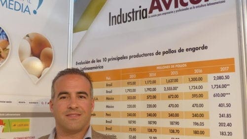 3 consejos para productores de huevos libres de jaula