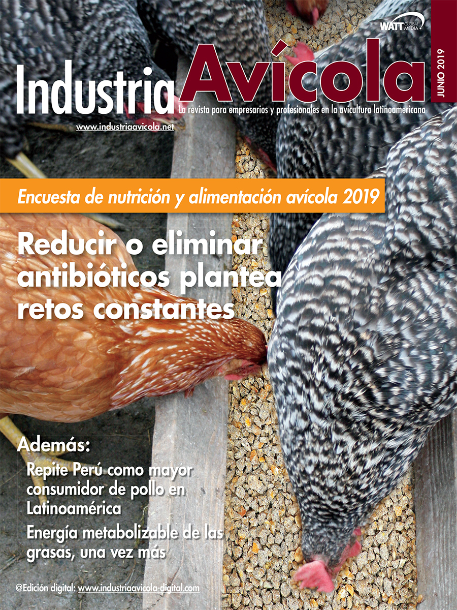 Magazine