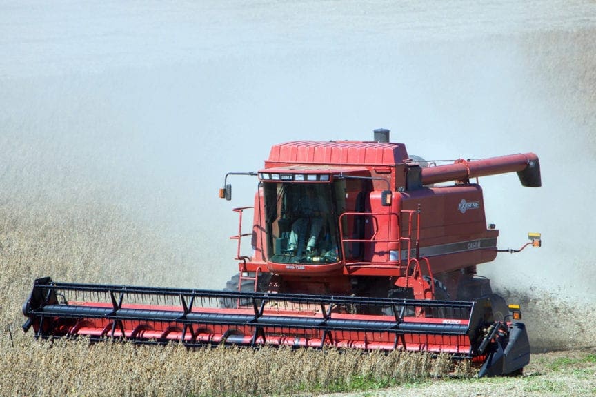 Cosecha brasileña presionaría a la baja precio de la soya