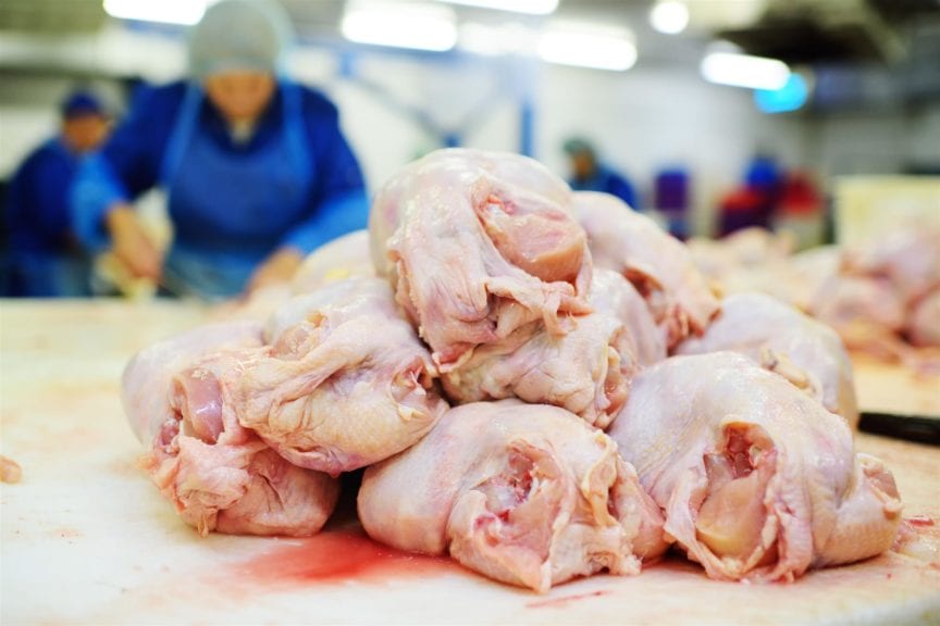 Hong Kong detiene entrada de pollos de Guanajuato