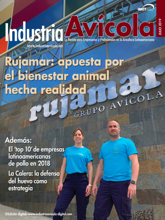 Magazine