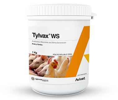 Avivet Tylvax WS antibiótico