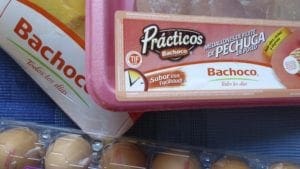 Bachoco: con finanzas sólidas y más ventas de pollo