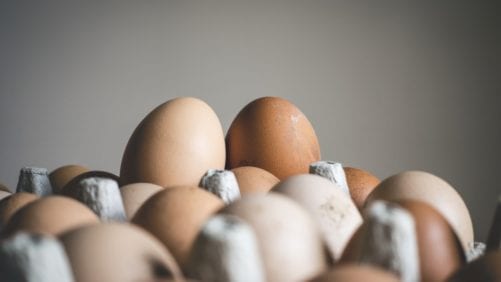 Productores de huevo en Jalisco buscan más trabajadores