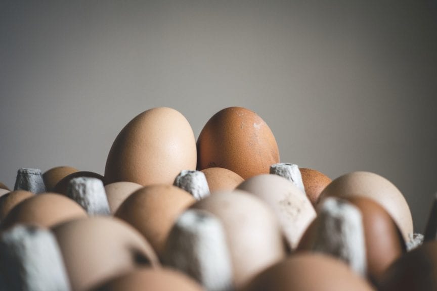 Productores de huevo en Jalisco buscan más trabajadores