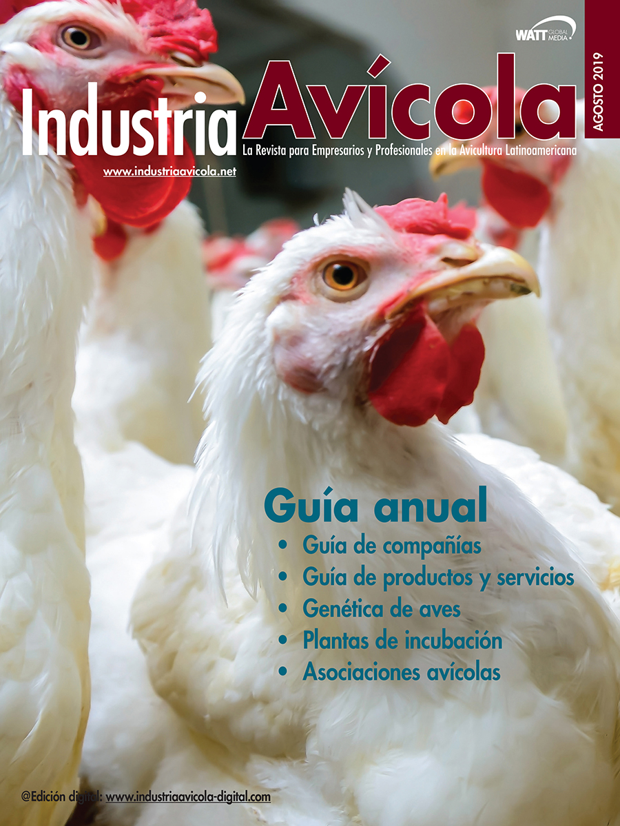 Magazine