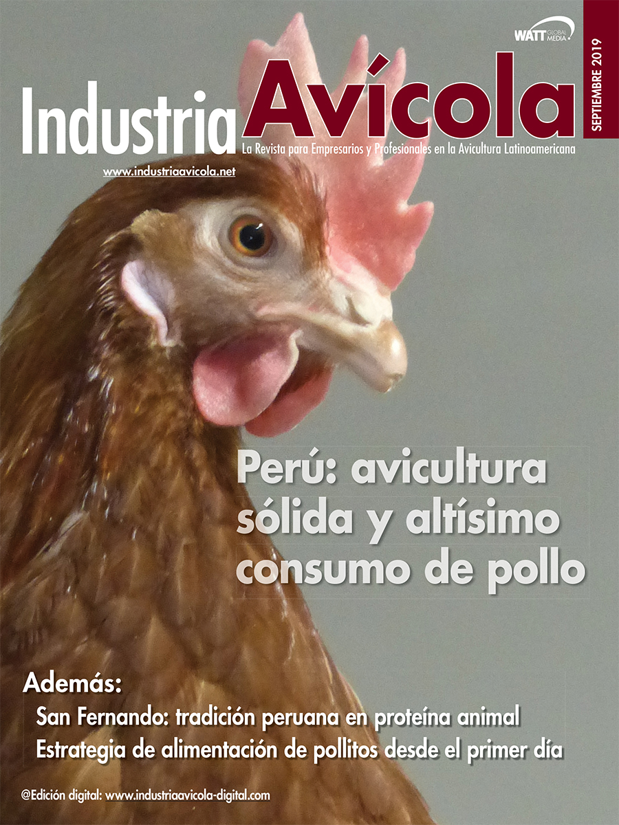 Magazine