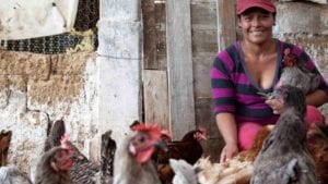 Cargill y Heifer expanden ‘Hatching Hope’ en México