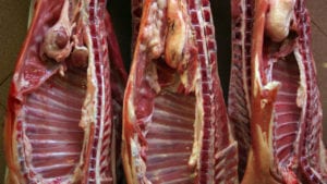 Cerdo brasileño afecta la industria avícola de Uruguay