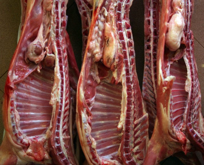 Cerdo brasileño afecta la industria avícola de Uruguay