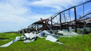 Temporada de huracanes: ¿volarán casetas junto con pollos?