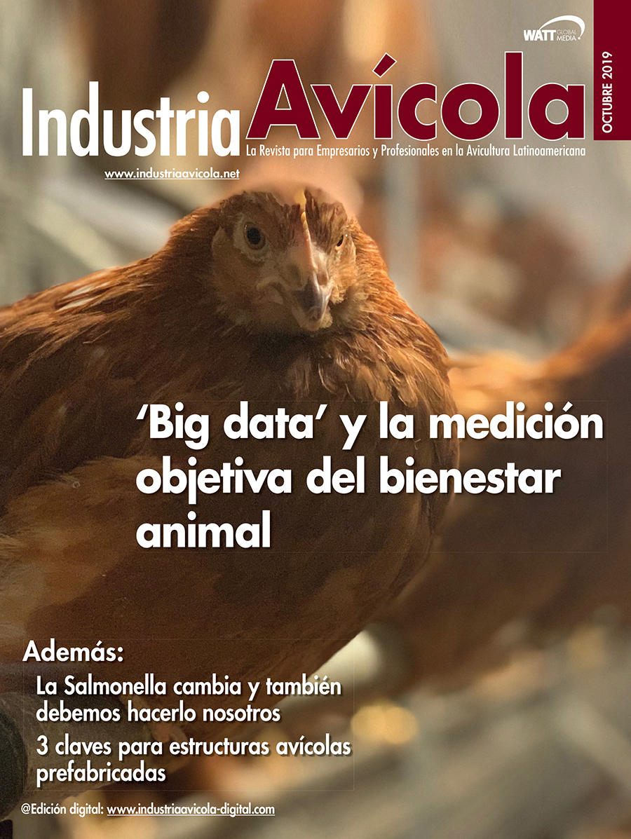 Magazine