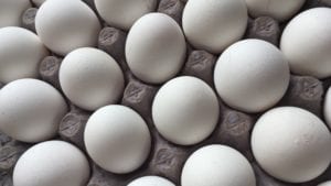 Daños a comercios afectan venta de huevos en Chile