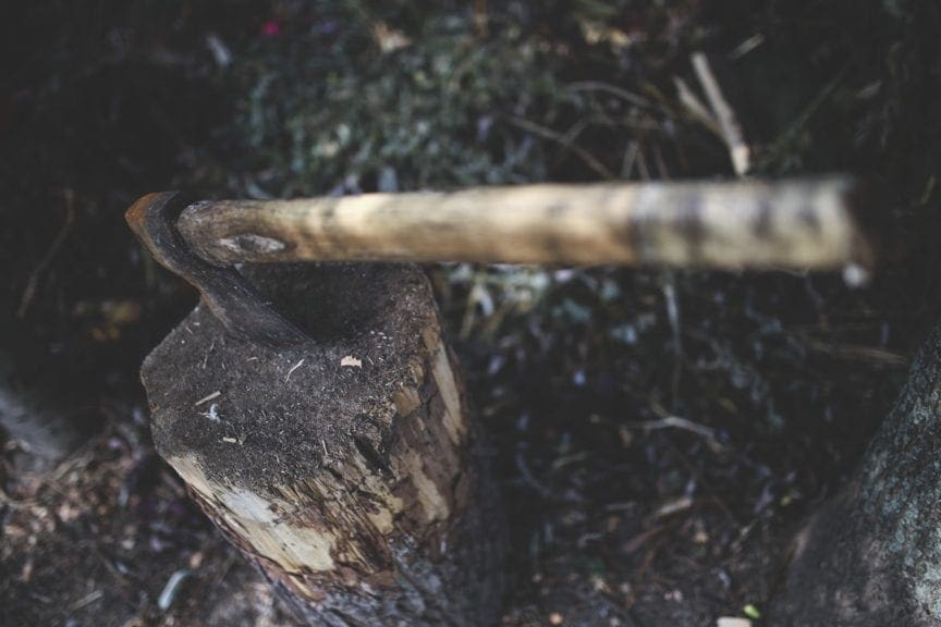 Amazonia de Brasil no se deforesta para producir pollos