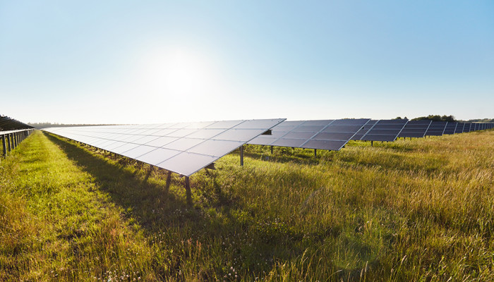 Chr. Hansen producirá bacterias benéficas con energía solar