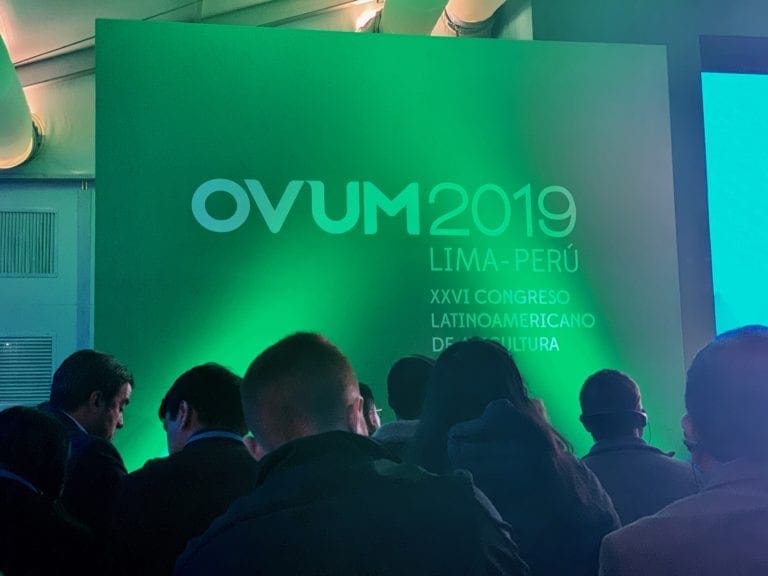 OVUM 2019: Una mirada al consumidor y al futuro avícola