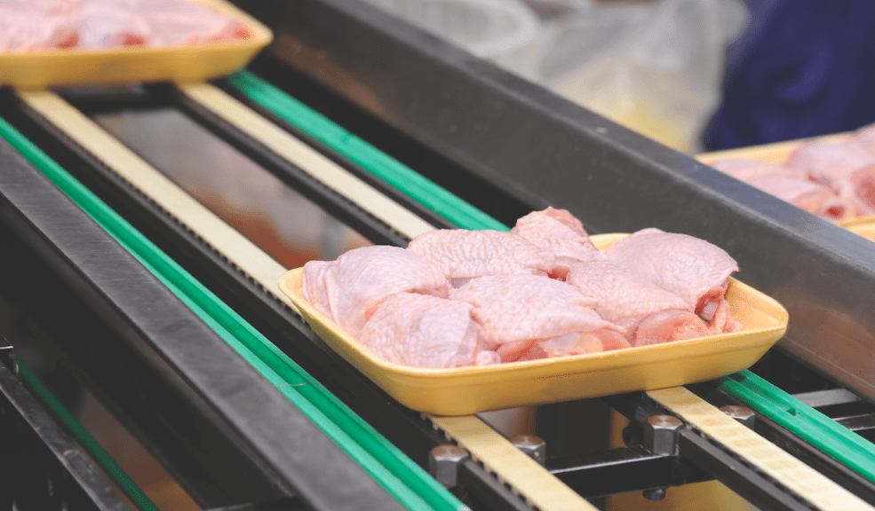 A mayo, 101,883 toneladas de pollo exportó Argentina