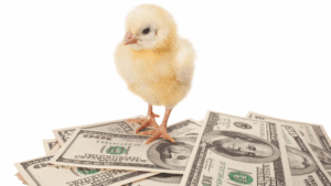 Cambios tributarios impactarían avicultura ecuatoriana