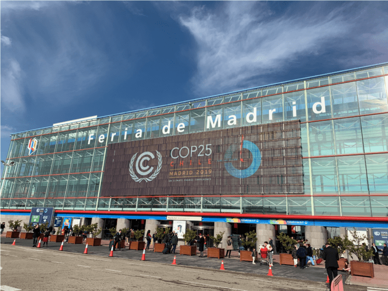 COP25 en Madrid: ¿dónde quedó la producción pecuaria?