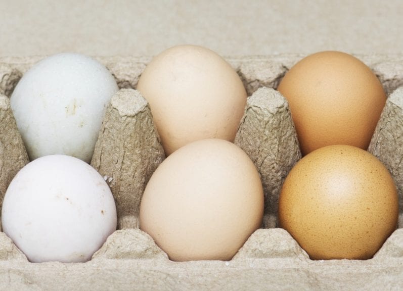 ¿Qué tanto ‘pinta’ el color en el negocio del huevo?