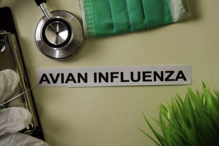 Nueve países reportan influenza aviar en aves de corral