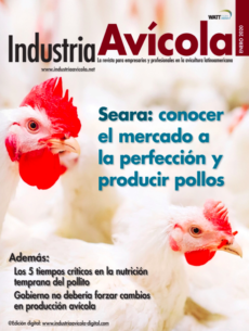 Magazine