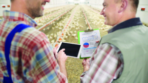 Cómo manejar una granja avícola remotamente con big data