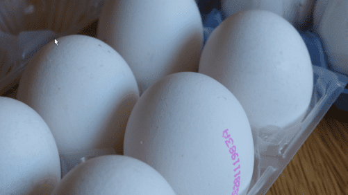 Animalistas y Partido Verde quieren huevo etiquetado