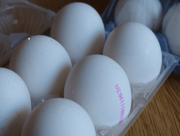 Iniciativa para enseñar al consumidor cómo se produce huevo