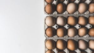 Biopelícula ampliaría a dos meses vida útil del huevo