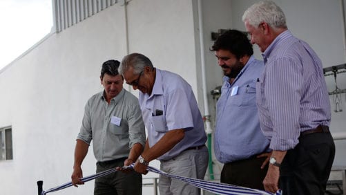 Avícolas uruguayas estrenan sistema de control de faena