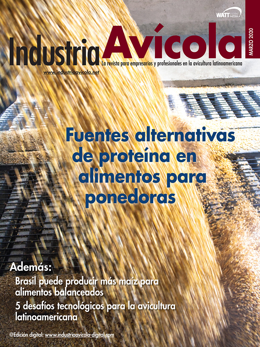 Magazine