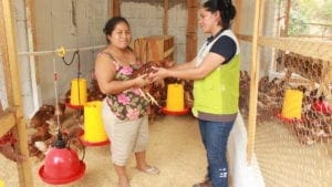 Trouw Nutrition empodera mujeres a ser productoras de huevo