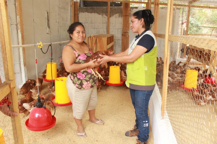 Trouw Nutrition empodera mujeres a ser productoras de huevo