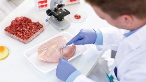 Bacteriófagos contra salmonela en producción de pollo