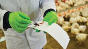 Micotoxinas en sangre: una herramienta nueva y más precisa