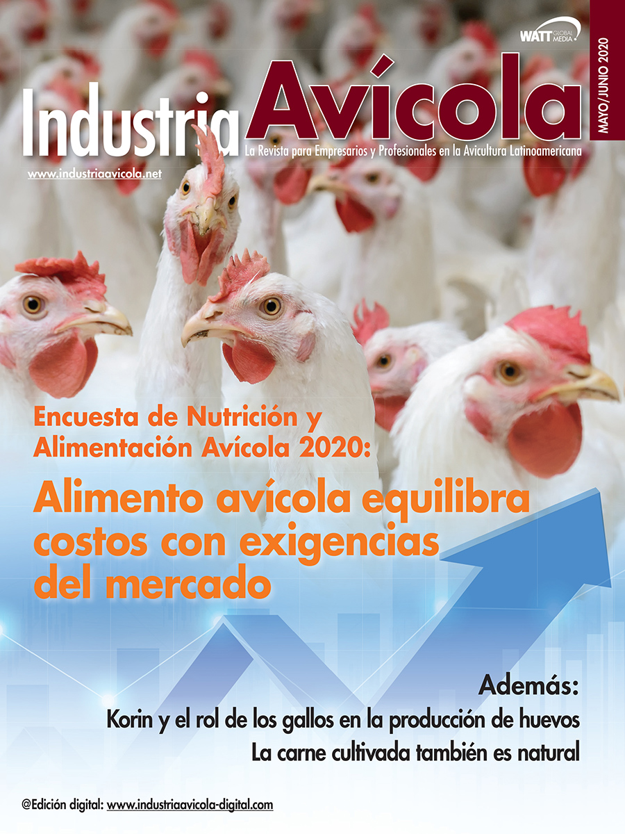 Magazine