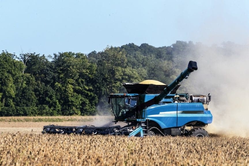 Maíz, soya y sorgo de Mercosur, con vía libre a Colombia