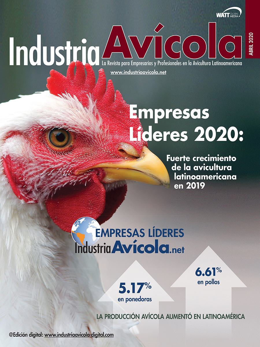 Magazine