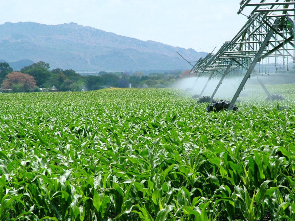 Gravetal fortalece exportación agroindustrial con innovación logística desde Santa Cruz