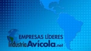 Estas son las 10 mayores empresas de huevo en Latinoamérica