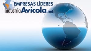 Estas son las 10 mayores empresas de pollo en Latinoamérica