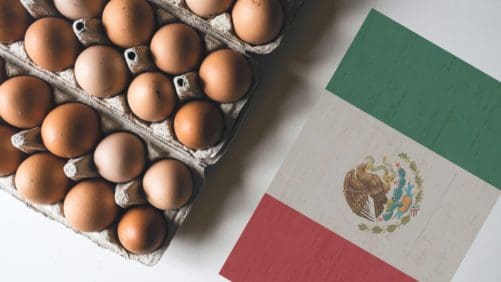 El ‘top 5’ de empresas productoras de huevo en México