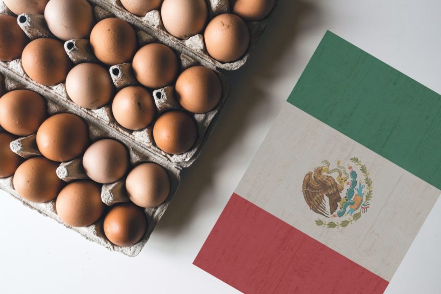 El ‘top 5’ de empresas productoras de huevo en México