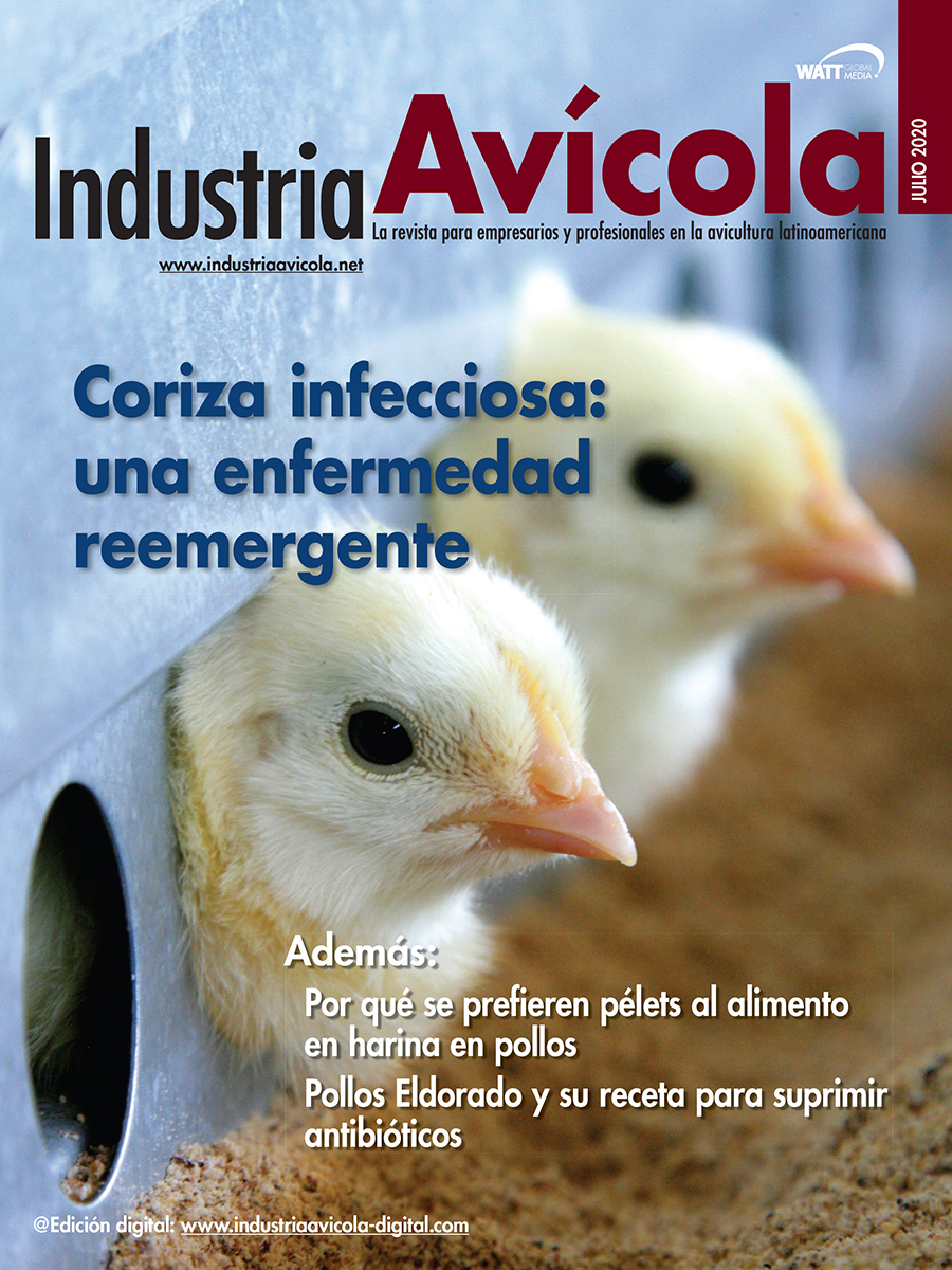 Magazine