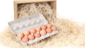 México lucha por exportar productos avícolas al sur de EE. UU.