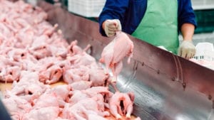 Consumo promedio de pollo caería 4 kilos en Colombia