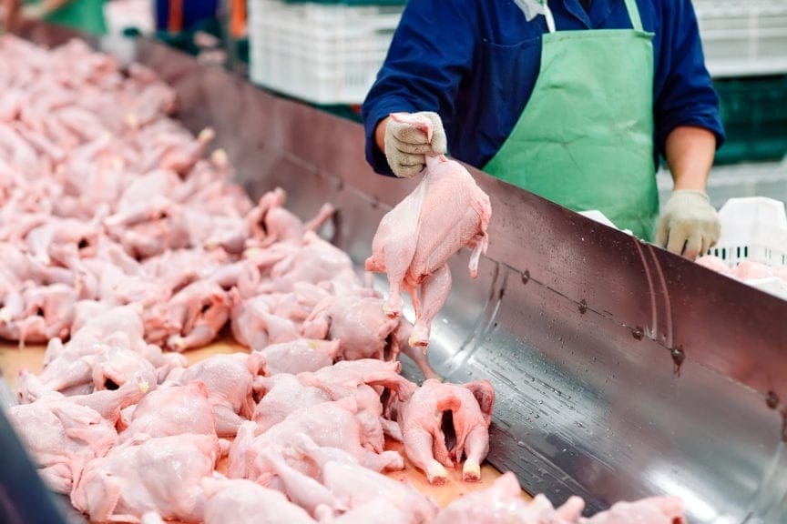 Consumo promedio de pollo caería 4 kilos en Colombia